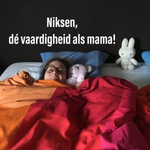 2_Niksen