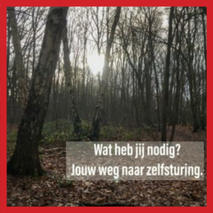 Wat heb JIJ nodig? Jouw weg naar zelfsturing