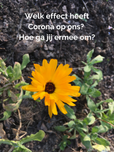 Welk effect heeft Corona op ons_ Hoe ga jij ermee om_